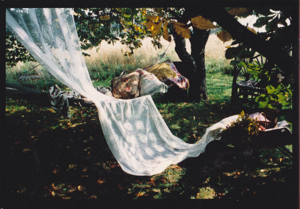 Highland Lace lace curtain and hammock