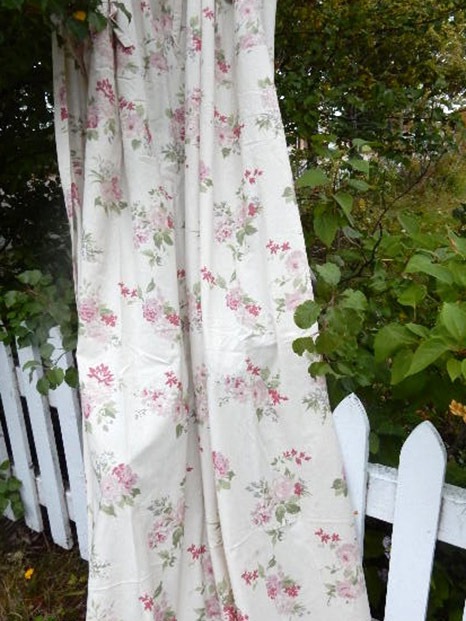 english-rose-2