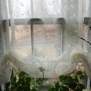 French Ivy