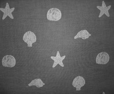 madras-starfish-2