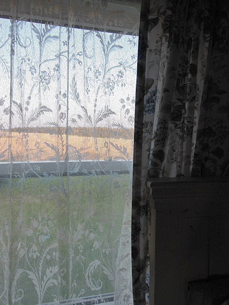 meadowlark-5