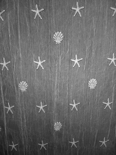 Starfish