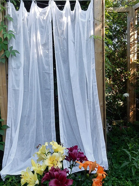 voile-2